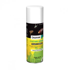 Insecticide naturel araignée