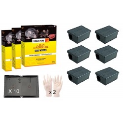 Pack dératisation professionnelle grosse infestation
