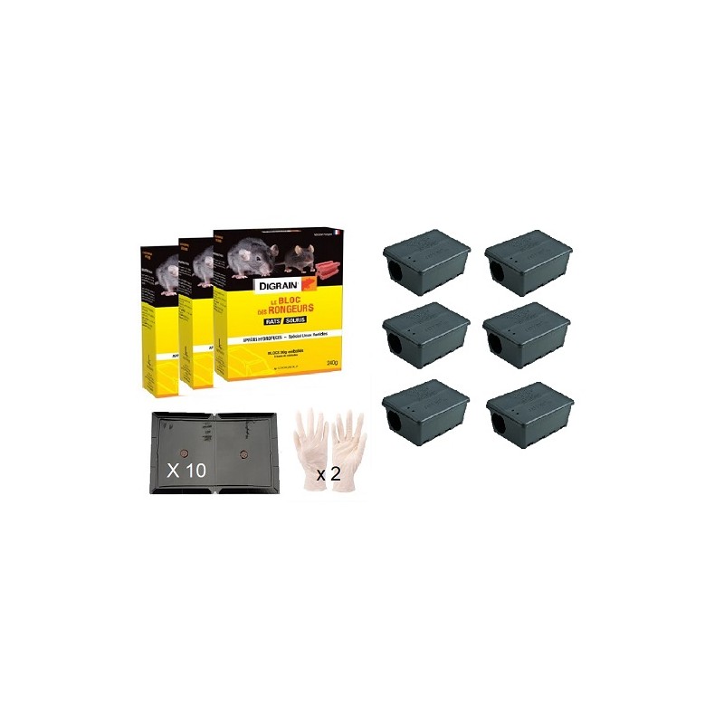 Pack dératisation professionnelle grosse infestation